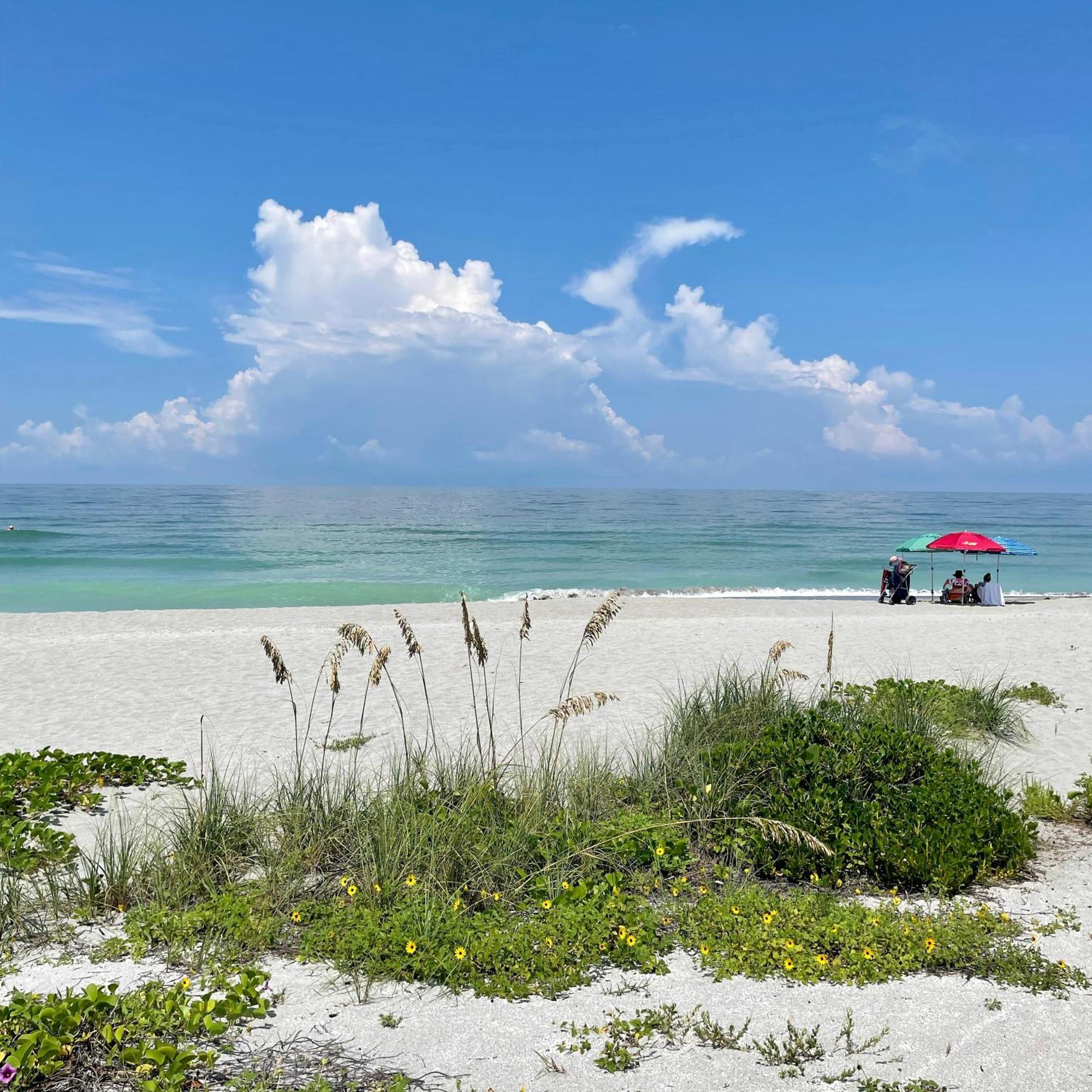 Turtle Beach Resort Siesta Key Esterno foto