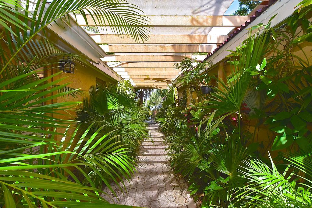 Turtle Beach Resort Siesta Key Esterno foto